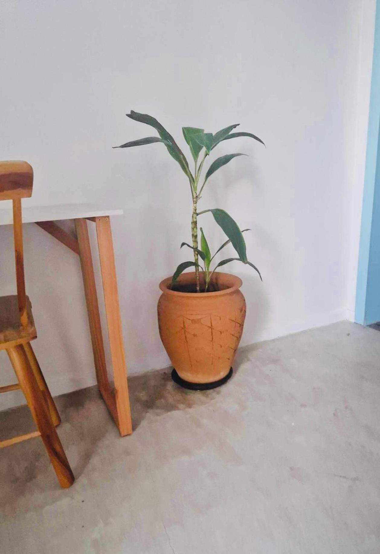 Villa Parazinho Paracuru Luaran gambar